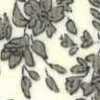 Avorio × Beige