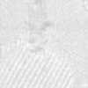 Bianco sporco Bianco sporco