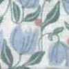 Bianco Sporco × Blu Bianco Sporco × Blu