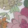 Bianco Sporco × Rosa