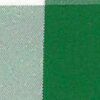 Avorio × Verde