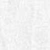 Bianco Bianco