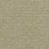 Beige Beige