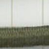 Verde Erba