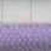 Lavanda