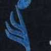 Blu Navy