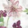 Bianco Sporco × Rosa Bianco Sporco × Rosa