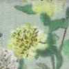 Menta Menta
