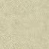 Beige Chiaro
