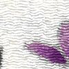 Bianco × Viola