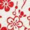 Avorio X Rosso Avorio X Rosso