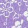 Viola Viola