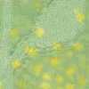 Menta
