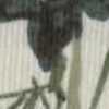 Avorio