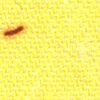 Giallo (Roll)
