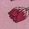 Rosa Tulipano Rosa Tulipano