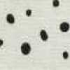 Pois Casual × Avorio
