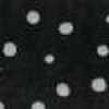Random Dots X Blu Navy