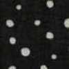 Pois × Nero