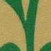Giallo X Verde