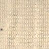 Beige Chiaro