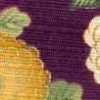 Viola Kogiku Viola Kogiku