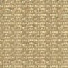 Beige Beige