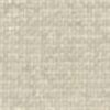 Beige Chiaro