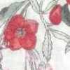 Fiore Rosso Fiore Rosso
