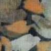 Marrone