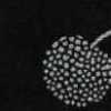 Monocromo