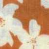 Arancione