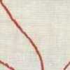 Avorio