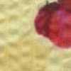 Giallo Giallo