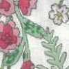 Bianco Sporco × Rosa