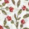 Bianco Sporco E Rosso
