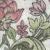 Bianco Sporco × Rosa Bianco Sporco × Rosa