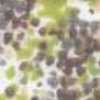 Verde Multicolore