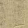 Beige Miele