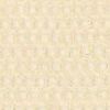Beige Nocciola
