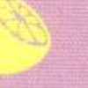 Limone X Rosa