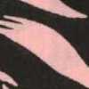 Antracite/Rosa Antracite/Rosa
