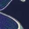 Blu Navy Blu Navy