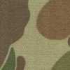 Cachi × Beige