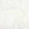 Mostro bianco