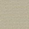 Beige grigiastro