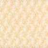Beige Beige