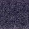 Glicine
