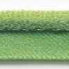 Verde Lattuga