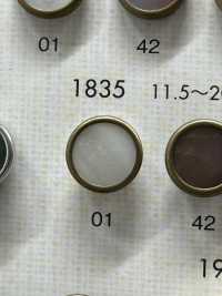 1835 Bottoni Eleganti E Lussuosi Per Camicie E Giacche Semplici[Pulsante] DAIYA BUTTON(DAIYA BUTTON) Foto secondaria